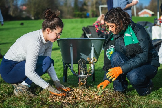 Two people crouch to plant a tree.